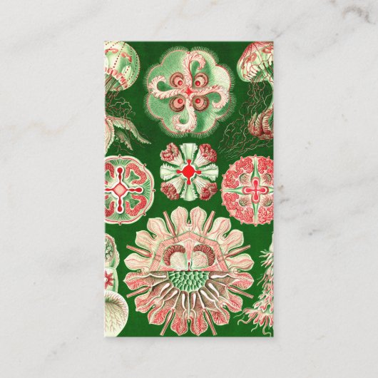 Ernst Haeckel Discomedusae (Aurelia) Visitekaartje (Voorkant)
