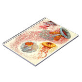 Ernst Haeckel "Discomedusae - Desmonema" Notitieboek (Linkerzijde)