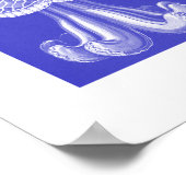 Ernst Haeckel Discomedusae III Poster (Hoek)