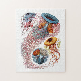 Ernst Haeckel Discomedusae Legpuzzel