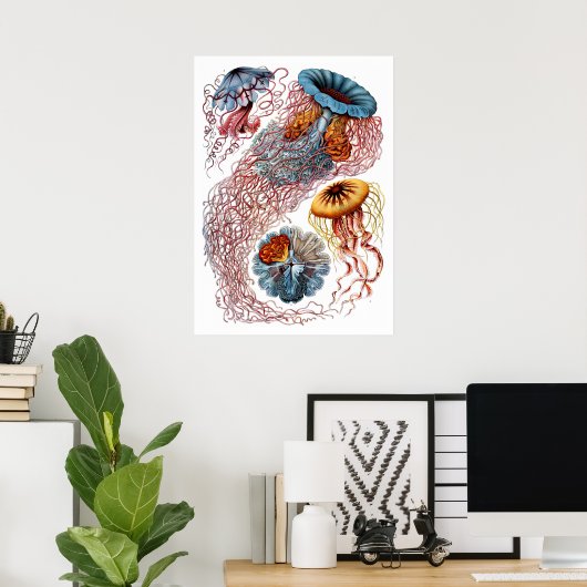 Ernst Haeckel Discomedusae Poster (Thuiskantoor)