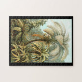 Ernst Haeckel Filicinae Legpuzzel (Horizontaal)