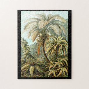 Ernst Haeckel Filicinae Legpuzzel