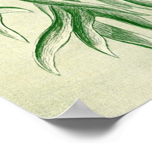 Ernst Haeckel - Filicinae Poster (Hoek)