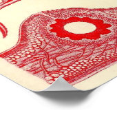 Ernst Haeckel - Florideae Poster (Hoek)