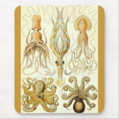 Ernst Haeckel - Gamochonia Muismat (Voorkant)