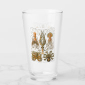 Ernst Haeckel Gamochonia, Octopus, Inktvis Glas (Achterkant)