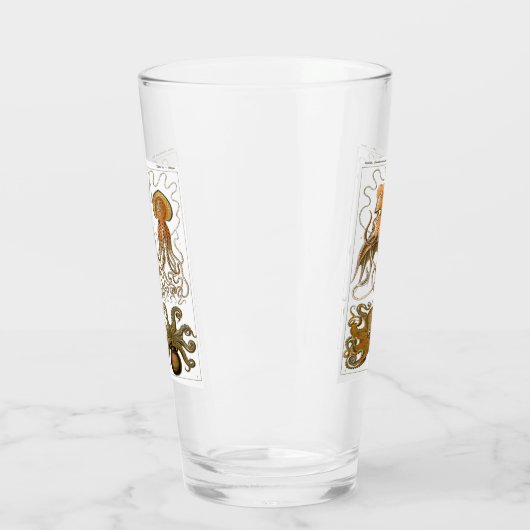 Ernst Haeckel Gamochonia, Octopus, Inktvis Glas (Links)
