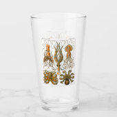 Ernst Haeckel Gamochonia, Octopus, Inktvis Glas (Voorkant)