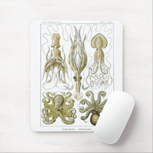 Ernst Haeckel Gamochonia Octopus & Squid Muismat