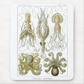 Ernst Haeckel Gamochonia Octopus & Squid Muismat (Voorkant)