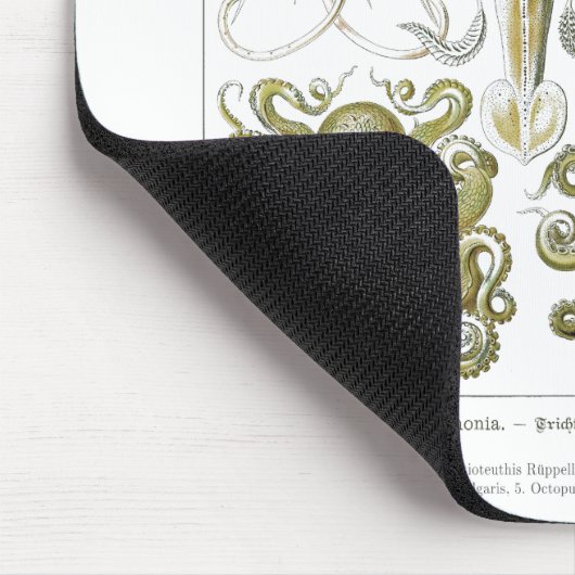 Ernst Haeckel Gamochonia Octopus & Squid Muismat (Hoek)