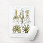 Ernst Haeckel Gamochonia Octopus & Squid Muismat (Met muis)