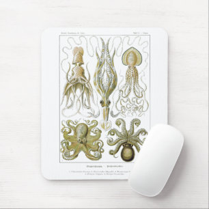 Ernst Haeckel Gamochonia Octopus & Squid Muismat
