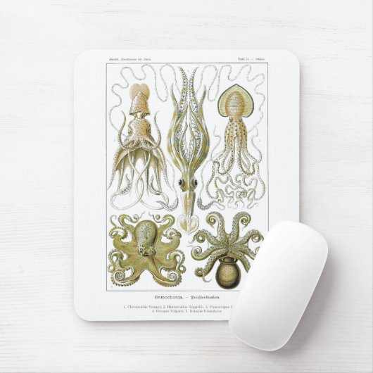 Ernst Haeckel Gamochonia Octopus & Squid Muismat (Met muis)