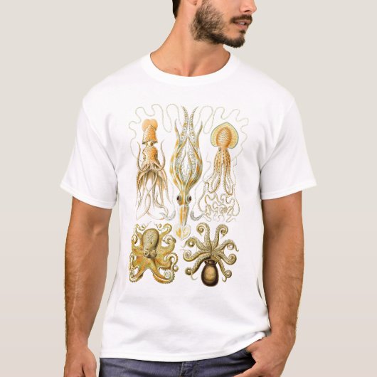 Ernst Haeckel - Gamochonia T-shirt (Voorkant)