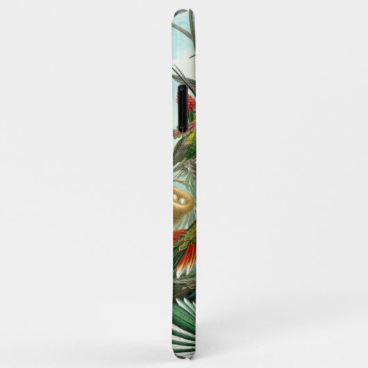 Ernst Haeckel Goraalprachtige vibrant Hummingbird Case-Mate iPhone Case (Achterkant/rechts)