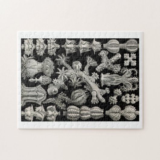 Ernst Haeckel Gorgonia Legpuzzel (Horizontaal)