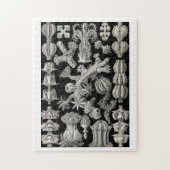 Ernst Haeckel Gorgonia Legpuzzel (Verticaal)