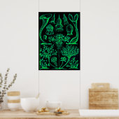  Ernst Haeckel Green & Black Poster Print (Keuken)