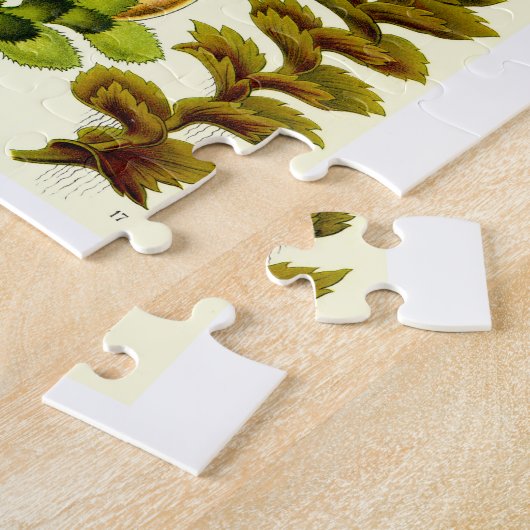 Ernst Haeckel Hepaticae Legpuzzel (Zijkant)