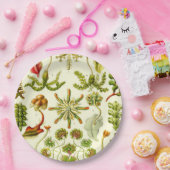 Ernst Haeckel Hepaticae Papieren Bordje (Feest)