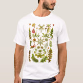 Ernst Haeckel - Hepaticae T-shirt (Voorkant)