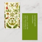 Ernst Haeckel Hepaticae Visitekaartje (Voorkant / Achterkant)