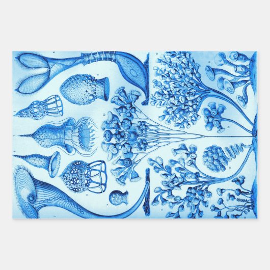  Ernst Haeckel herkleurde het zeeleven Inpakpapier Vel (Voorkant 2)