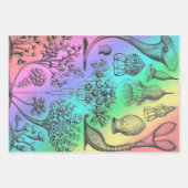 Ernst Haeckel herkleurde het zeeleven Inpakpapier Vel (Voorkant)