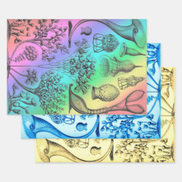 Ernst Haeckel herkleurde het zeeleven Inpakpapier Vel
