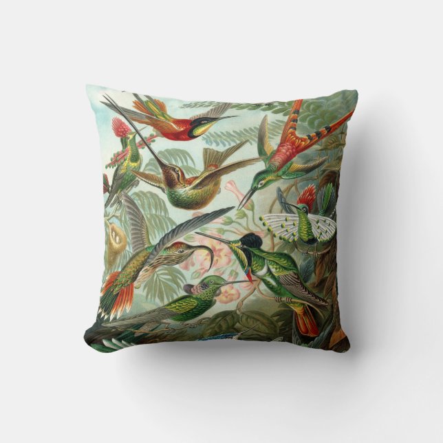 Ernst Haeckel ~ Hummingbird Cushions Kussen (Voorkant)