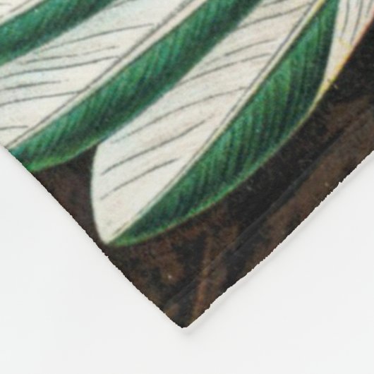 Ernst Haeckel Hummingbird Fleece Deken (Hoek)