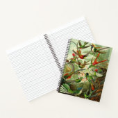 Ernst Haeckel Hummingbird Illustration 8.5X11" Notitieboek (Binnen)