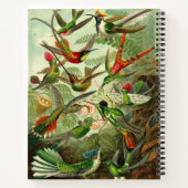 Ernst Haeckel Hummingbird Illustration 8.5X11" Notitieboek (Achterkant)
