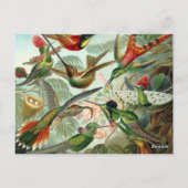 Ernst Haeckel Hummingbird - Kunstvormen van Natuur Briefkaart (Achterkant)
