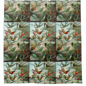 Ernst Haeckel Hummingbird - Kunstvormen van Natuur Douchegordijn (Voorkant)