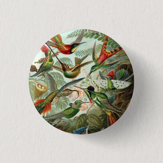 Ernst Haeckel Hummingbird - Kunstvormen van Natuur Ronde Button 3,2 Cm (Voorkant)
