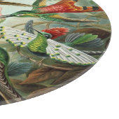 Ernst Haeckel Hummingbird - Kunstvormen van Natuur Snijplank (Hoek)