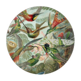 Ernst Haeckel Hummingbird - Kunstvormen van Natuur Snijplank