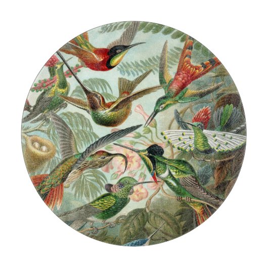 Ernst Haeckel Hummingbird - Kunstvormen van Natuur Snijplank (Voorkant)