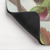 Ernst Haeckel Hummingbird Muismat (Hoek)