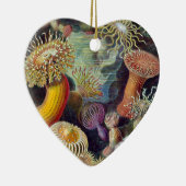 Ernst Haeckel Keramisch Ornament (Rechts)