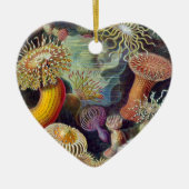 Ernst Haeckel Keramisch Ornament (Voorkant)