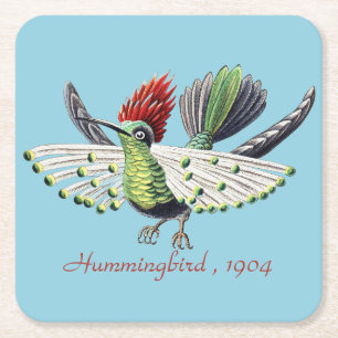 Ernst Haeckel Kleurrijke Kolibrie Natuur Kunst Kartonnen Onderzetters