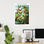 Ernst Haeckel Kolibrie (Trochilida) Print (Thuiskantoor)
