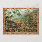 Ernst Haeckel Kunstdruk: Muscinae Briefkaart (Voorkant)