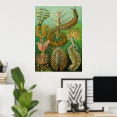 Ernst Haeckel kunstvormen van Natuur Print (Thuiskantoor)