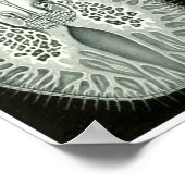 Ernst Haeckel kunstvormen van Natuur Print (Hoek)