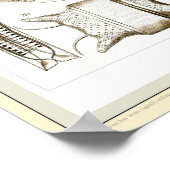 Ernst Haeckel - Kuntsformen der Natuur - Tafel 4 Poster (Hoek)